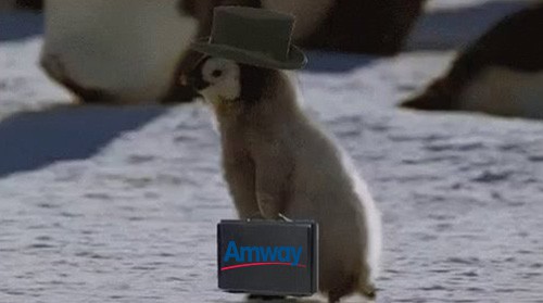 Amway penguin